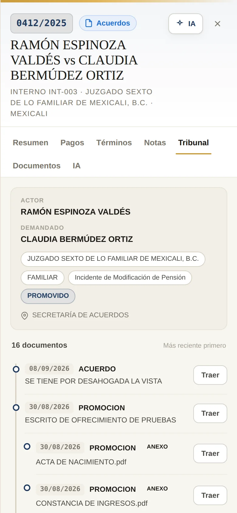 Ficha del expediente en el celular